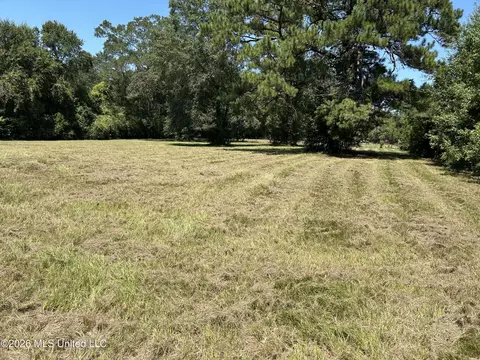 Marcus Mitchell Road, Picayune, MS 39466 photo 7
