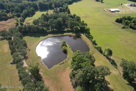 Other - 135 Cidero Rd, Raymond, MS 39154 photo 4 of 17