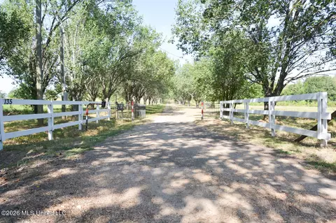 Other - 135 Cidero Rd, Raymond, MS 39154 photo 5 of 17