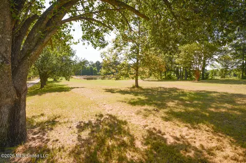 Exterior - 135 Cidero Rd, Raymond, MS 39154 photo 2 of 11