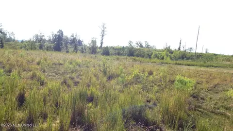 780 Storm Cv, Grenada, MS 38901 photo 10