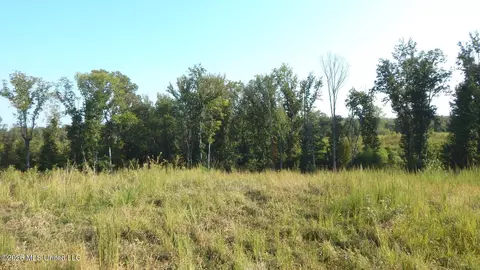 780 Storm Cv, Grenada, MS 38901 photo 7
