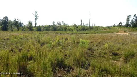 780 Storm Cv, Grenada, MS 38901 photo 9