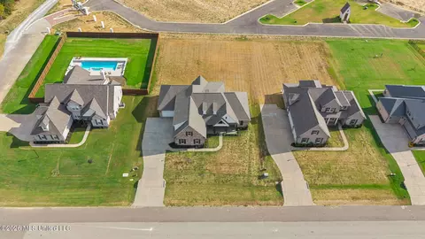 View/Area - 2275 Livingston Way, Hernando, MS 38632 photo 5 of 8