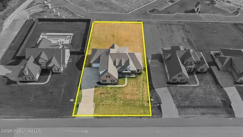View/Area - 2275 Livingston Way, Hernando, MS 38632 photo 4 of 8