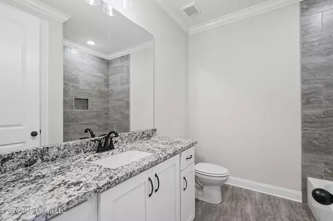 Bath - 2275 Livingston Way, Hernando, MS 38632 photo 3 of 4