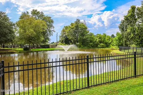 View/Area - 282 Lighthouse Ln, Brandon, MS 39047 photo 1 of 4