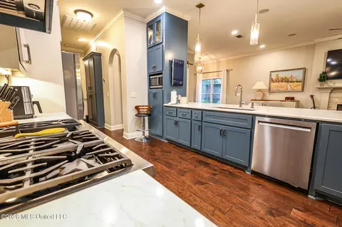 Kitchen - 282 Lighthouse Ln, Brandon, MS 39047 photo 4 of 11