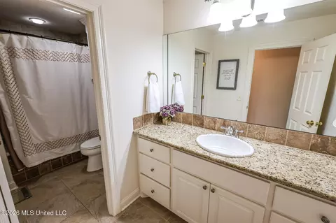 Bath - 282 Lighthouse Ln, Brandon, MS 39047 photo 6 of 6