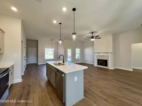 Other - 2144 Scott Meadows Ln, Hernando, MS 38632 photo 1 of 4