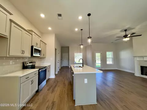 Other - 2144 Scott Meadows Ln, Hernando, MS 38632 photo 2 of 4