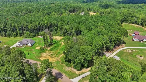 Dogwood Trace, Brandon, MS 39042 photo 17