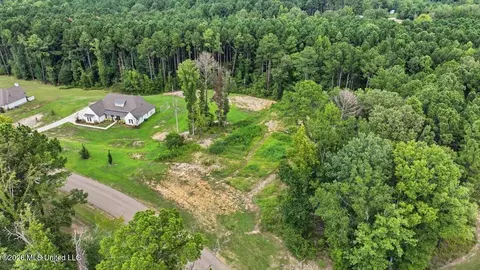 Dogwood Trace, Brandon, MS 39042 photo 25