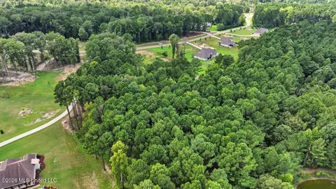 Dogwood Trace, Brandon, MS 39042 photo 23