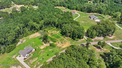 Dogwood Trace, Brandon, MS 39042 photo 5