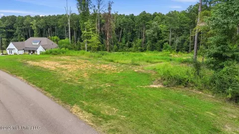Dogwood Trace, Brandon, MS 39042 photo 26