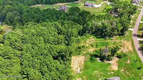 Dogwood Trace, Brandon, MS 39042 photo 20
