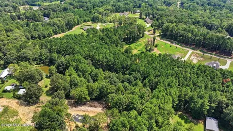 Dogwood Trace, Brandon, MS 39042 photo 12