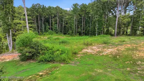 Dogwood Trace, Brandon, MS 39042 photo 3