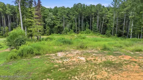 Dogwood Trace, Brandon, MS 39042 photo 4