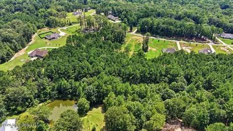 Dogwood Trace, Brandon, MS 39042 photo 11