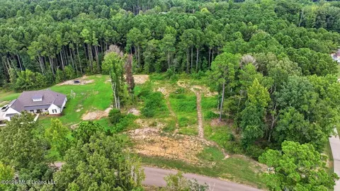 Dogwood Trace, Brandon, MS 39042 photo 7