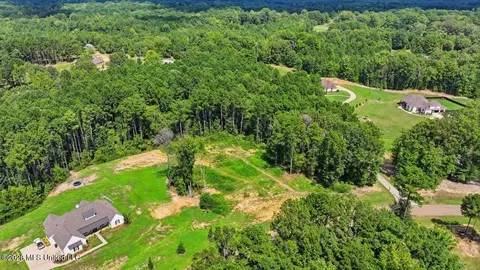 Dogwood Trace, Brandon, MS 39042 photo 15