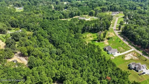 Dogwood Trace, Brandon, MS 39042 photo 13