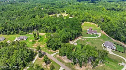 Dogwood Trace, Brandon, MS 39042 photo 9