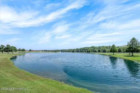 View/Area - 13415 N Fields Ln, Olive Branch, MS 38654 photo 1 of 1