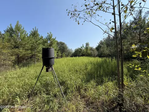 156 3 Acres Beesley Rd, Lucedale, MS 39452 photo 12
