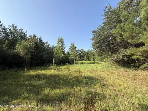 156 3 Acres Beesley Rd, Lucedale, MS 39452 photo 2