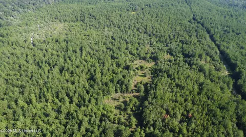 156 3 Acres Beesley Rd, Lucedale, MS 39452 photo 21