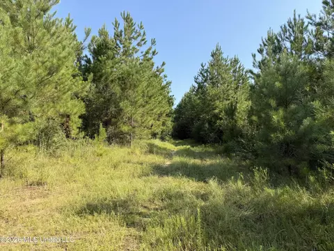 156 3 Acres Beesley Rd, Lucedale, MS 39452 photo 11