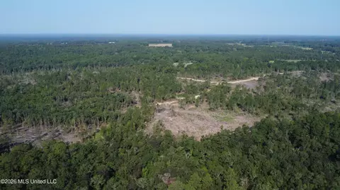 156 3 Acres Beesley Rd, Lucedale, MS 39452 photo 19