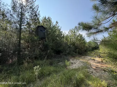 156 3 Acres Beesley Rd, Lucedale, MS 39452 photo 8
