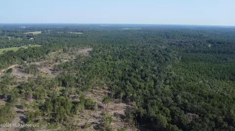 156 3 Acres Beesley Rd, Lucedale, MS 39452 photo 18