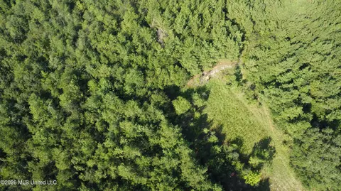 156 3 Acres Beesley Rd, Lucedale, MS 39452 photo 30