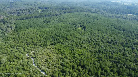 156 3 Acres Beesley Rd, Lucedale, MS 39452 photo 28