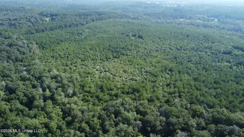 156 3 Acres Beesley Rd, Lucedale, MS 39452 photo 17
