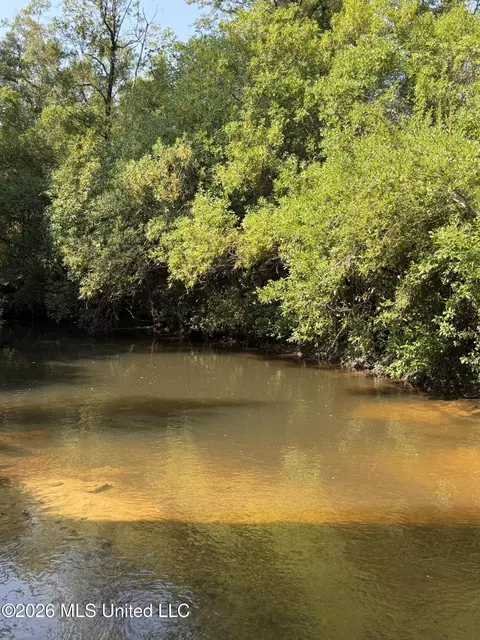 156 3 Acres Beesley Rd, Lucedale, MS 39452 photo 14