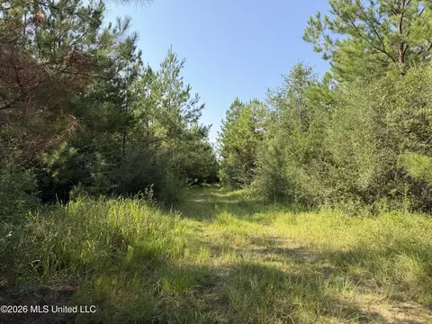 156 3 Acres Beesley Rd, Lucedale, MS 39452 photo 5