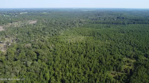 156 3 Acres Beesley Rd, Lucedale, MS 39452 photo 23