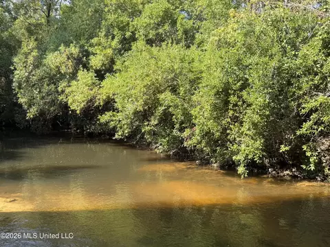 156 3 Acres Beesley Rd, Lucedale, MS 39452 photo 3
