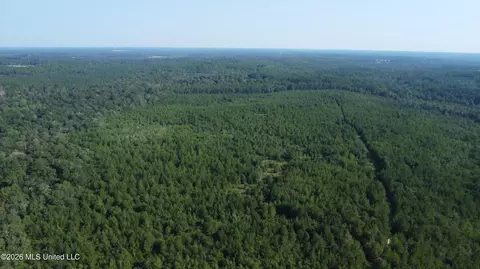 156 3 Acres Beesley Rd, Lucedale, MS 39452 photo 20