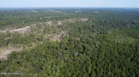156 3 Acres Beesley Rd, Lucedale, MS 39452 photo 24