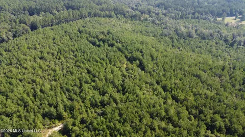 156 3 Acres Beesley Rd, Lucedale, MS 39452 photo 29
