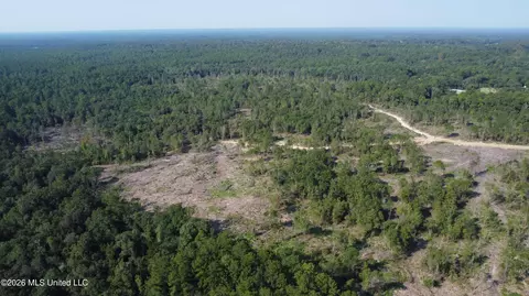156 3 Acres Beesley Rd, Lucedale, MS 39452 photo 26