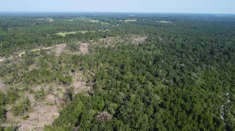 156 3 Acres Beesley Rd, Lucedale, MS 39452 photo 25