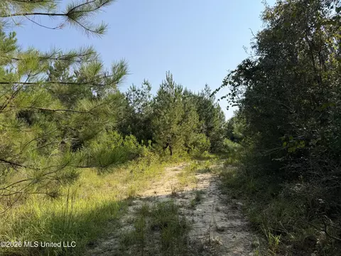 156 3 Acres Beesley Rd, Lucedale, MS 39452 photo 6
